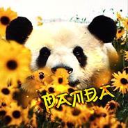 panda.png.91c10788137c02e41a6b0893df509290.png.9b468f00ae0286b398261b75fb99e4a2.png