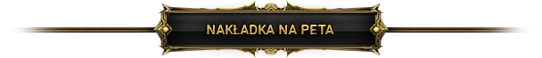 Nakładki.png