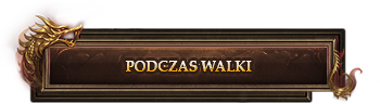 Podczas walki.png