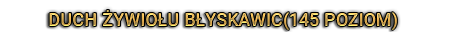duchzywiolublyskawic.png